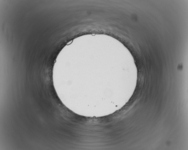 X0000116391490201001131819