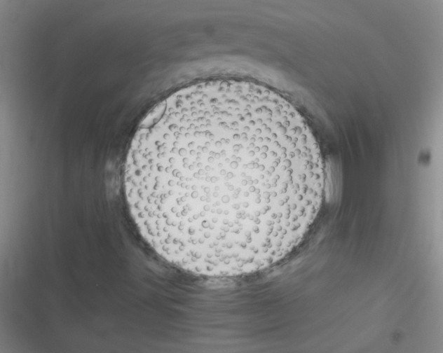 X0000116391491201001131819