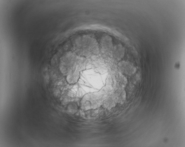X0000116391493201001131819