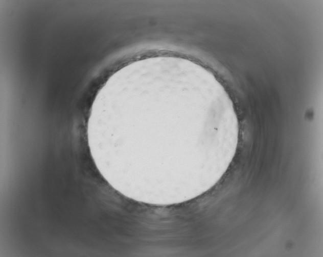 X0000116391495201001131819