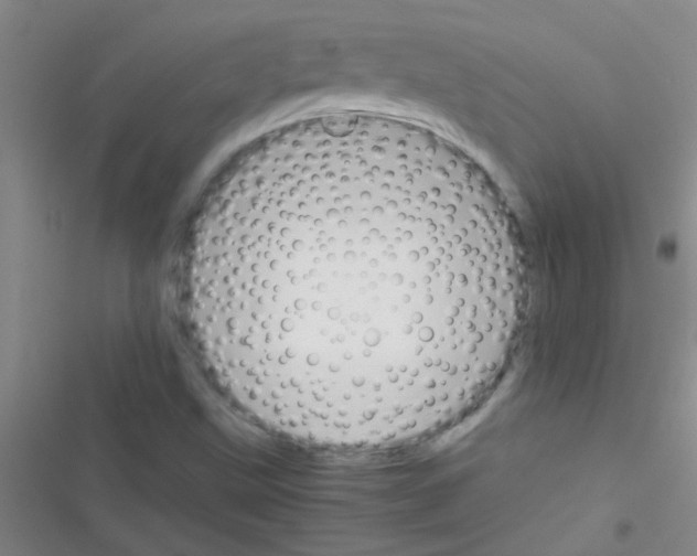 X0000116391499201001131819