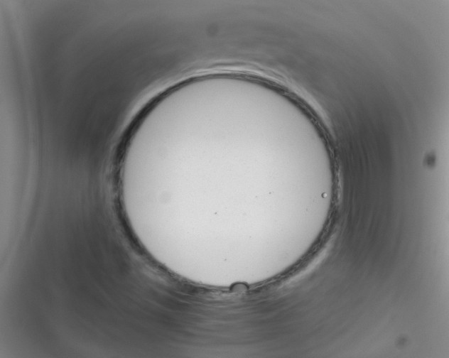 X0000116391501201001131819