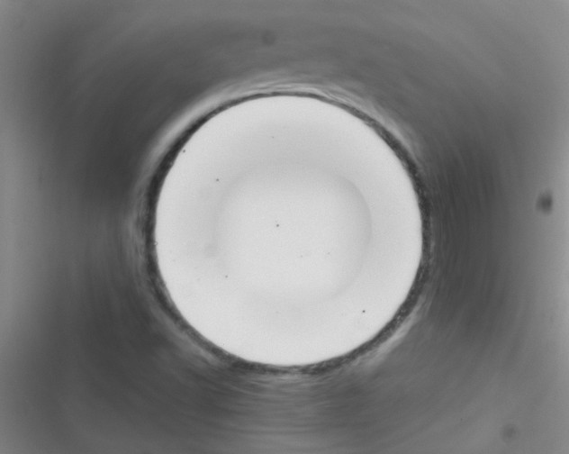 X0000116391502201001131819