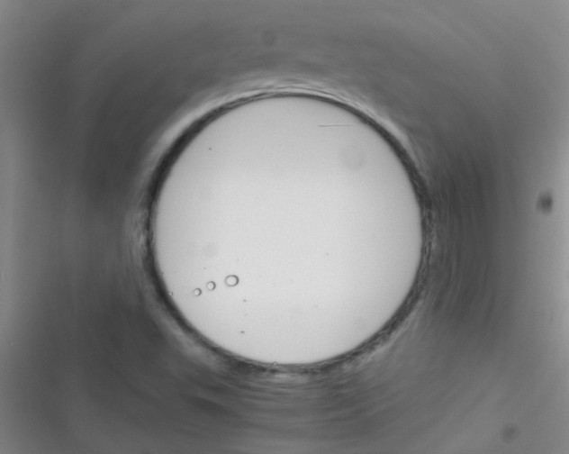 X0000116391503201001131819
