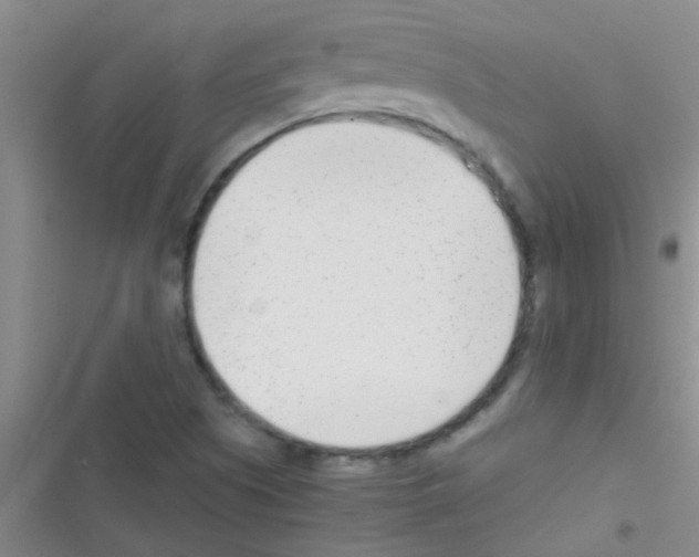 X0000116391505201001131819