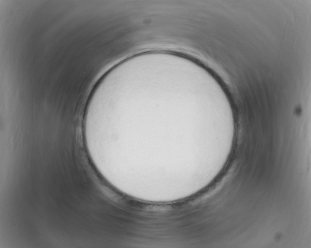 X0000116391513201001131819