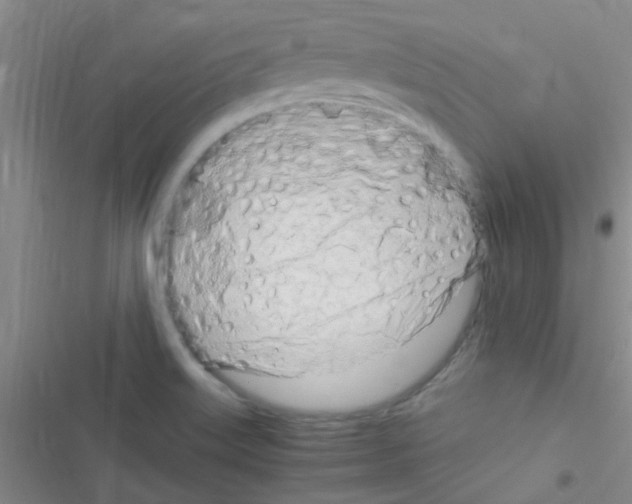 X0000116391515201001131819