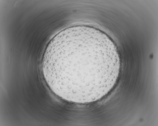 X0000116391521201001131819
