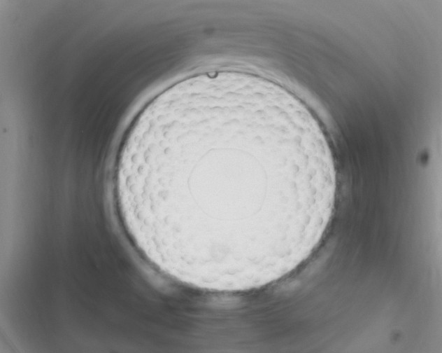 X0000116391525201001131819