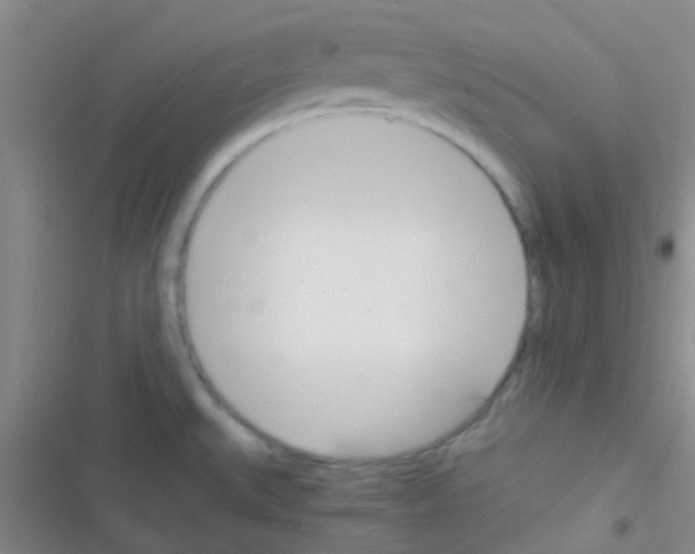X0000116391527201001131819