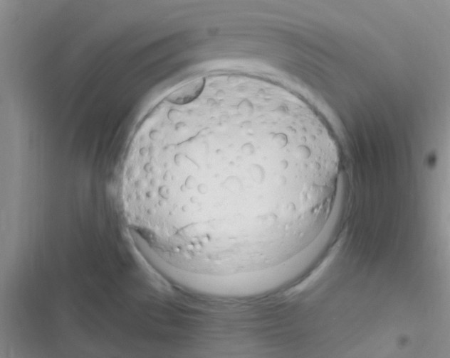 X0000116391529201001131819