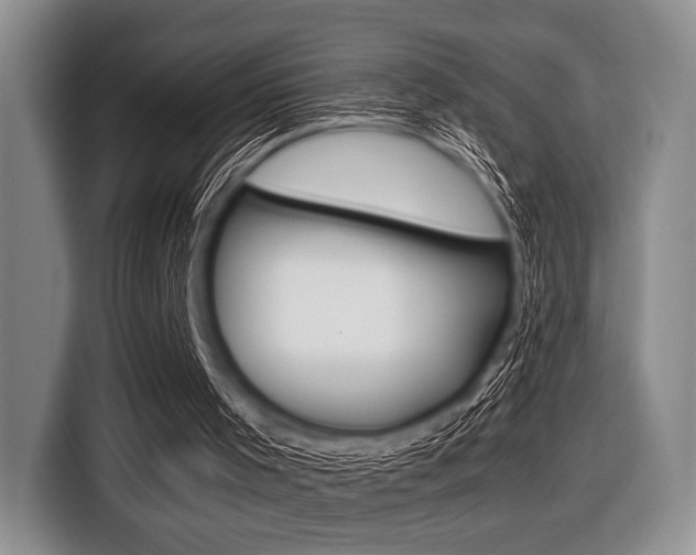 X0000116420001200912081210