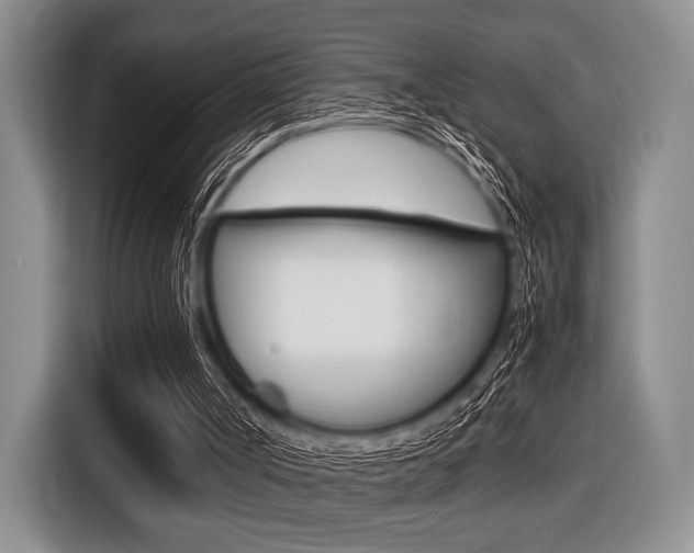 X0000116420002200912081210