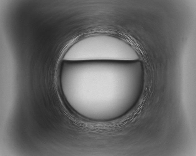 X0000116420003200912081210
