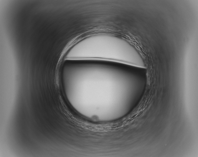 X0000116420004200912081210