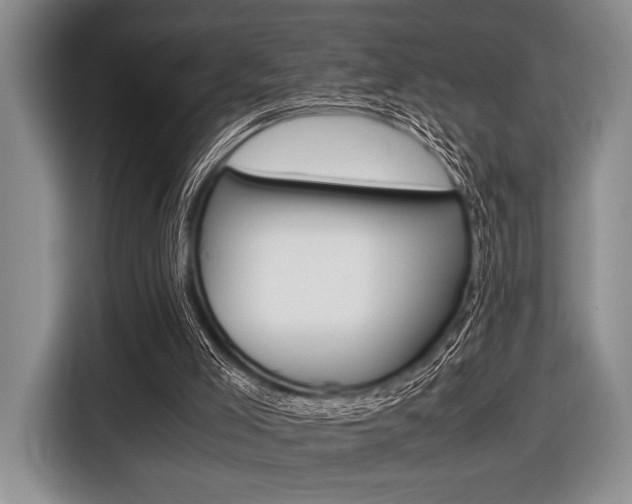 X0000116420005200912081210