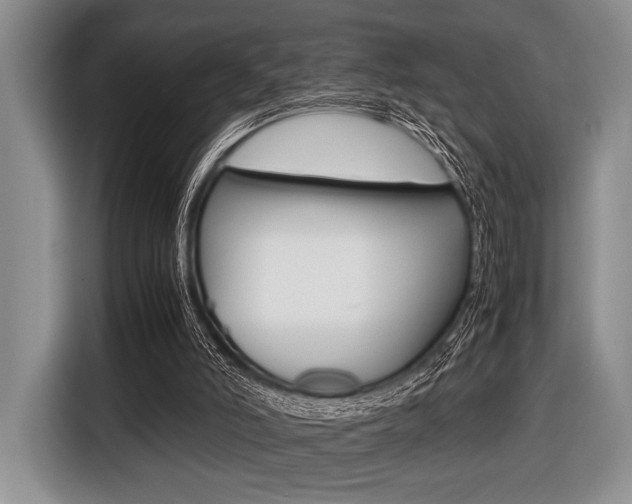 X0000116420006200912081210