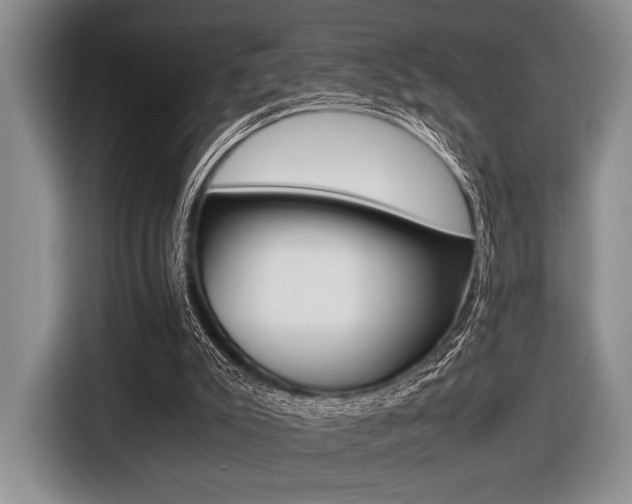 X0000116420007200912081209