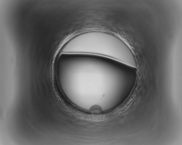 X0000116420008200912081209