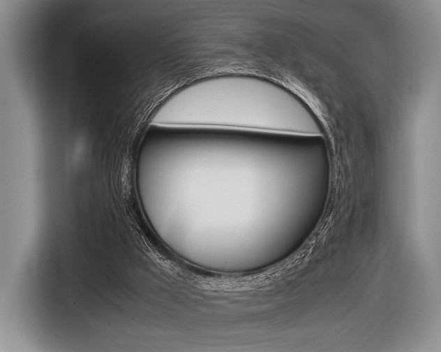 X0000116420009200912081209