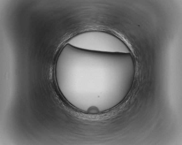 X0000116420010200912081209