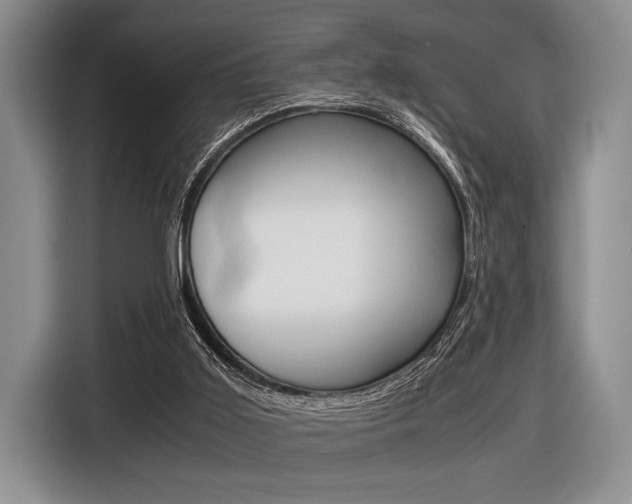X0000116420011200912081209