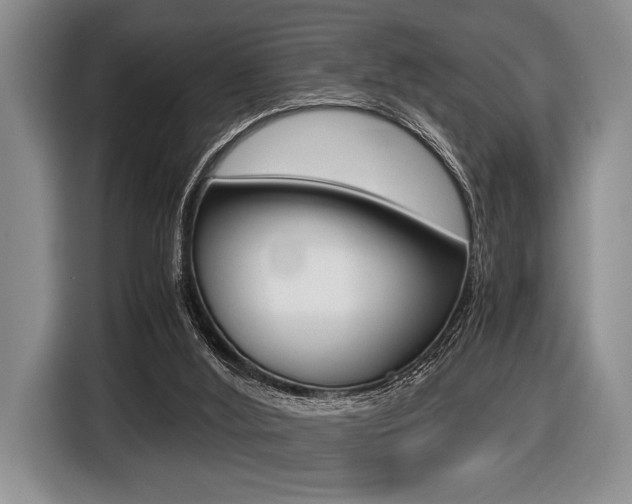 X0000116420012200912081209