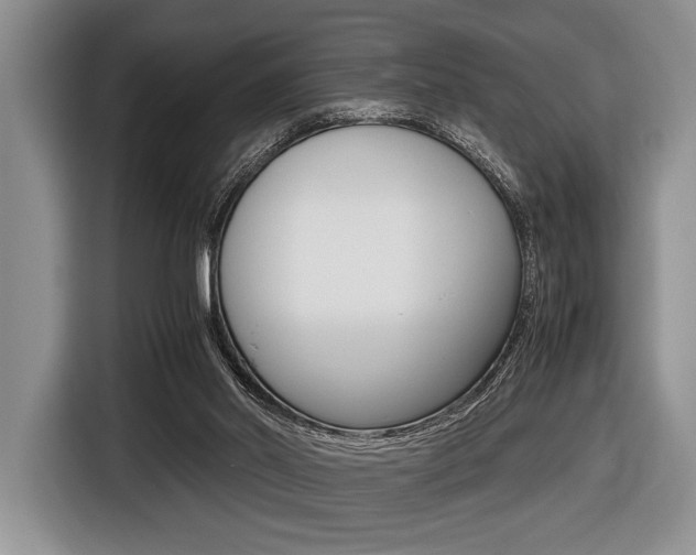 X0000116420014200912081209