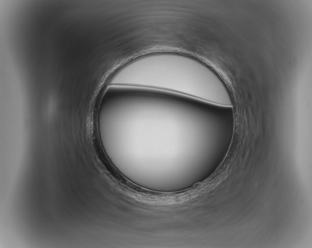 X0000116420015200912081209