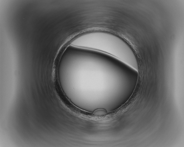 X0000116420016200912081209