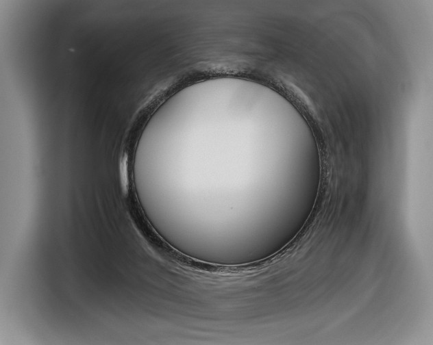 X0000116420020200912081209