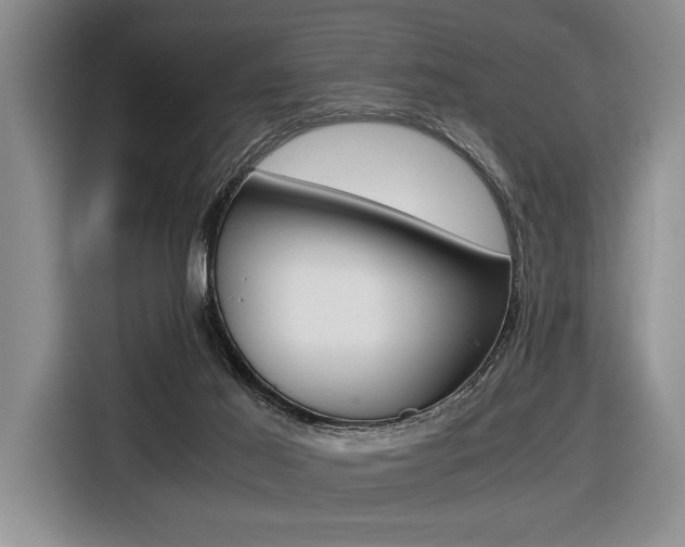 X0000116420021200912081209