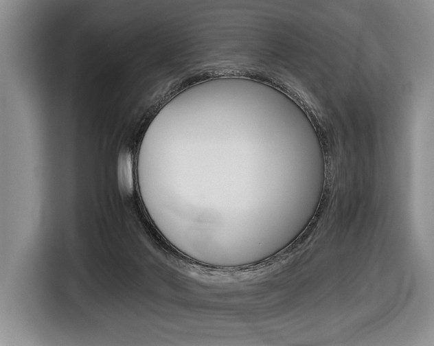 X0000116420022200912081209