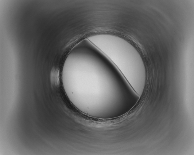 X0000116420024200912081209