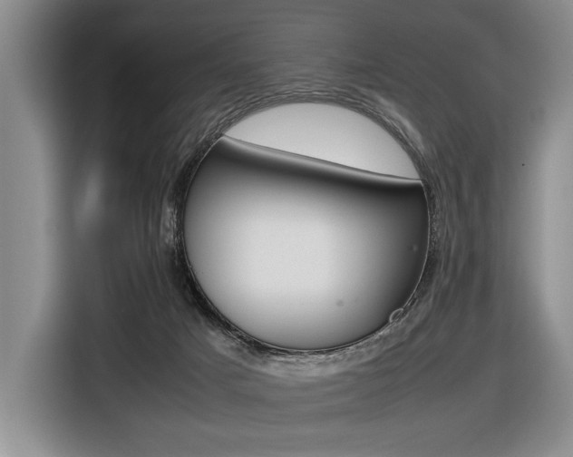 X0000116420025200912081209
