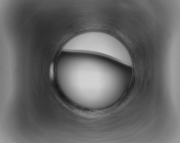 X0000116420028200912081209