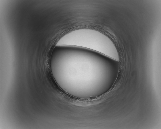 X0000116420029200912081209