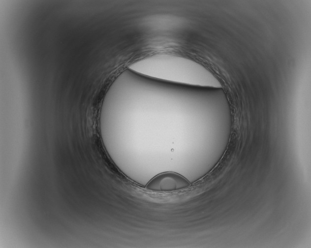 X0000116420030200912081209