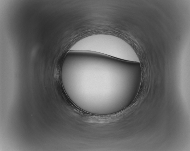 X0000116420033200912081209