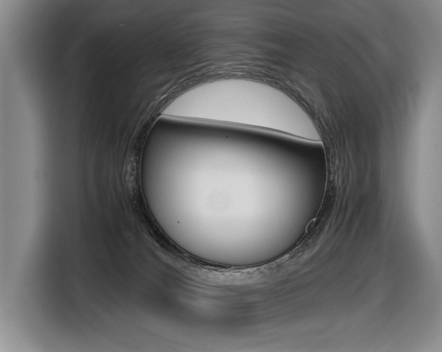 X0000116420036200912081209