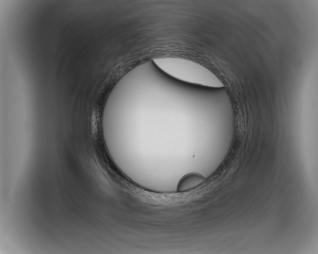 X0000116420038200912081209
