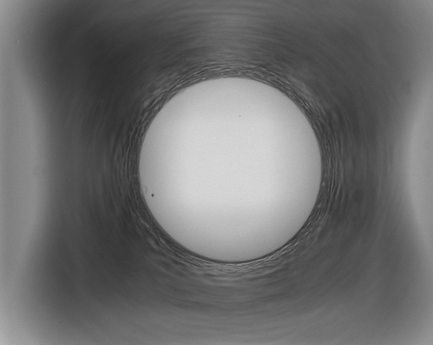 X0000116420039200912081209