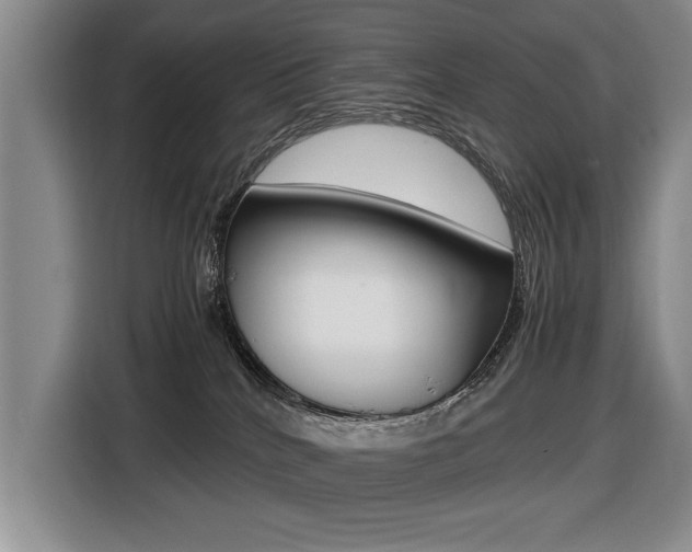 X0000116420040200912081209
