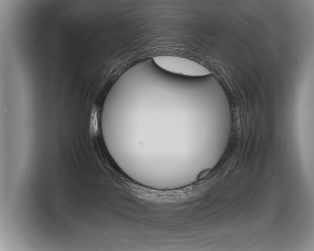 X0000116420042200912081209
