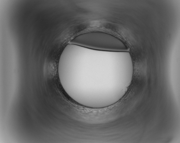 X0000116420043200912081209