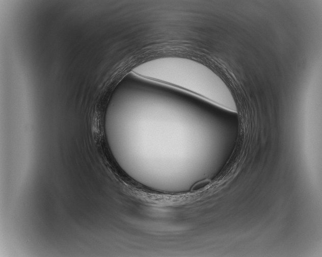 X0000116420044200912081209
