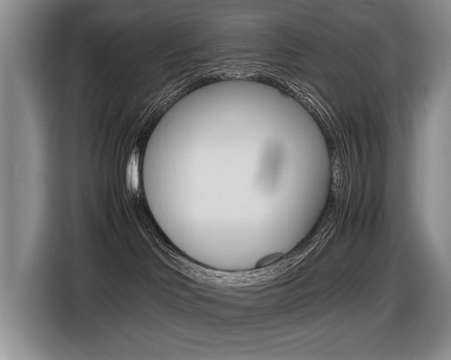 X0000116420046200912081209