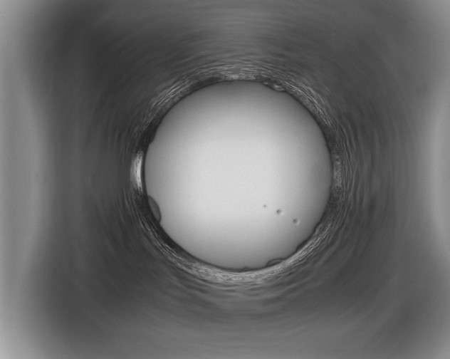 X0000116420047200912081209