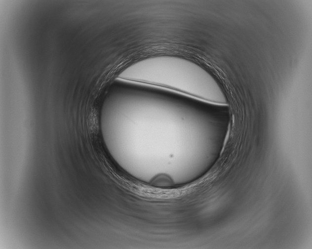 X0000116420048200912081209