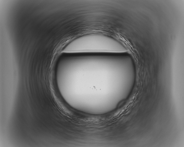 X0000116420049200912081208